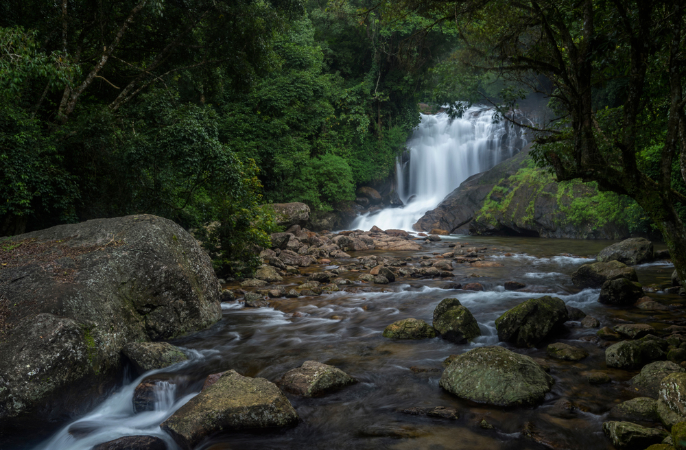 Munnar 02