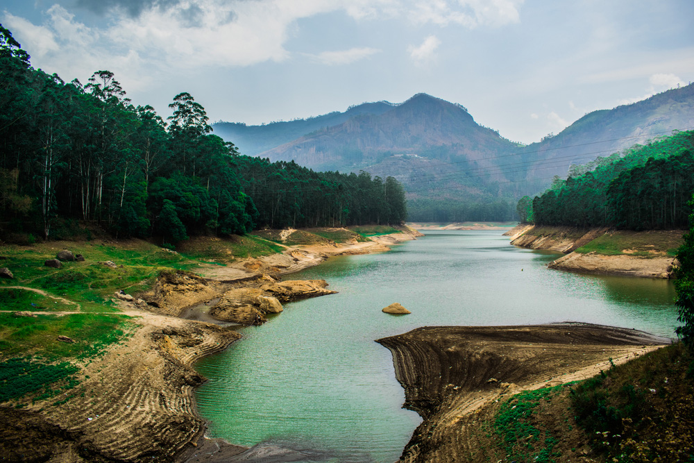 Munnar 03