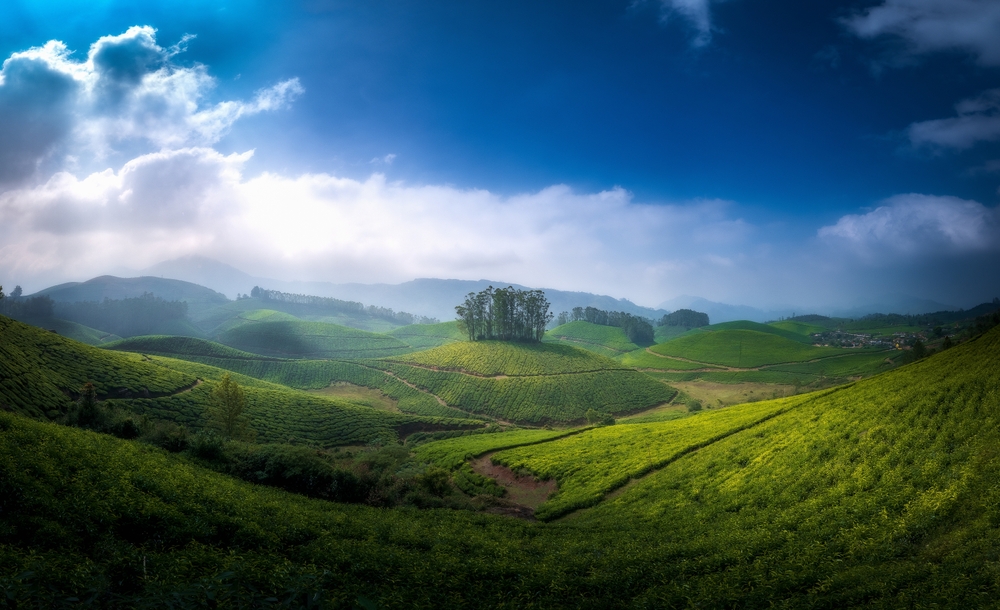 Munnar,,Kerala,:,Beautiful,Scenic,Landscape,Of,Lockhart,Gap,View