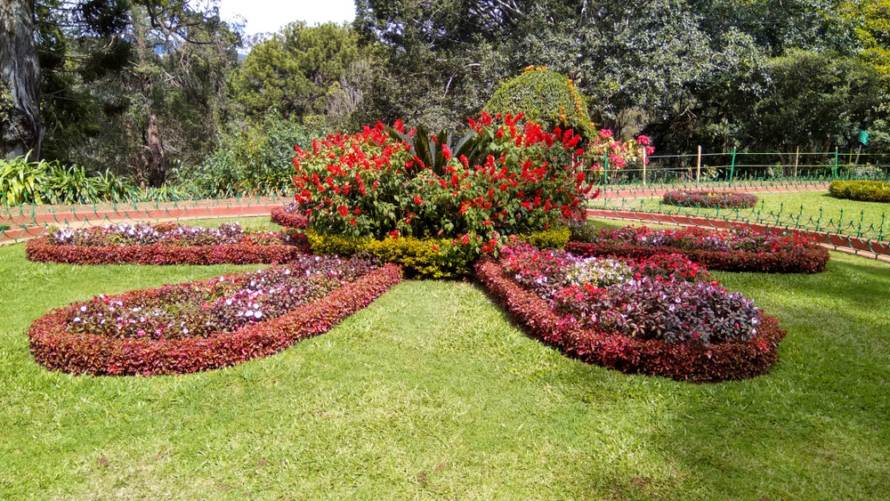 Ooty 04