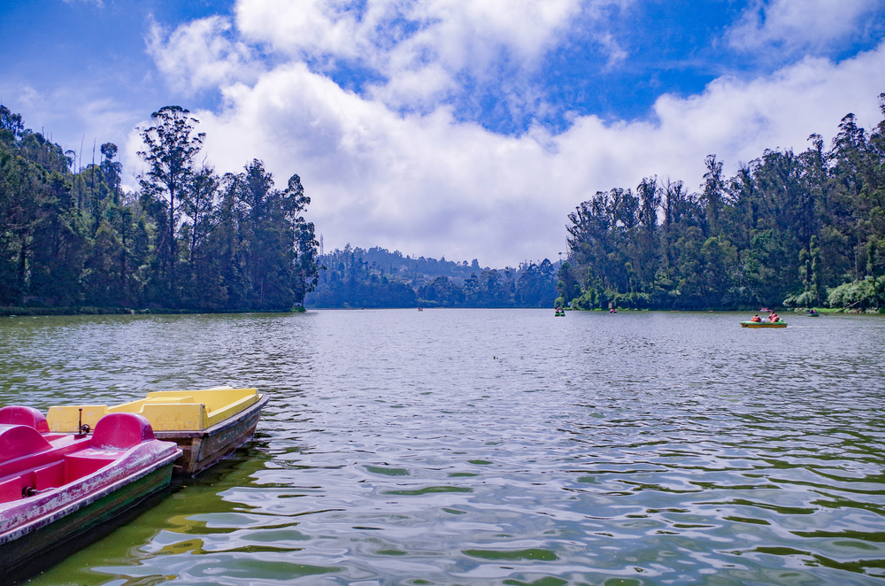 Picturesque,Ooty,Lake,From,Ooty,Boat,House...