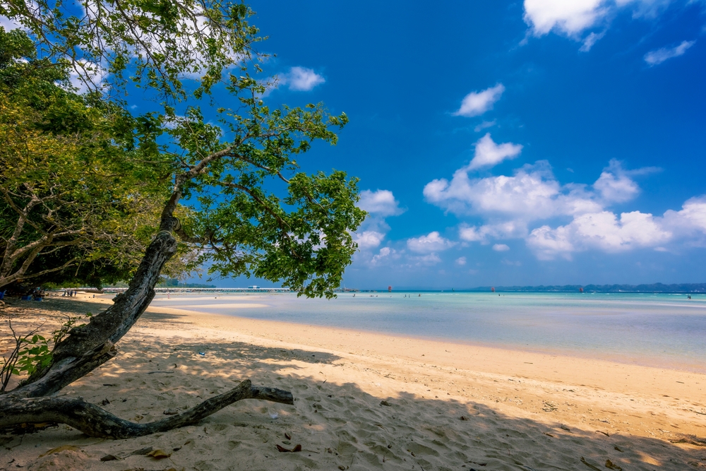 Bharatpur,Beach,,Neil,Island,,Andaman,And,Nicobar